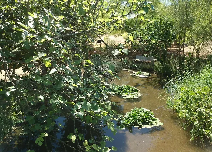 Le Fer En Cèze Appartamento Sabran